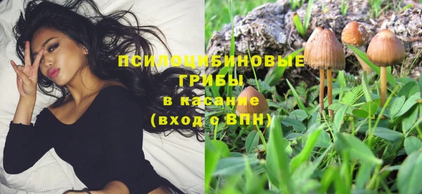 хмурый Жердевка